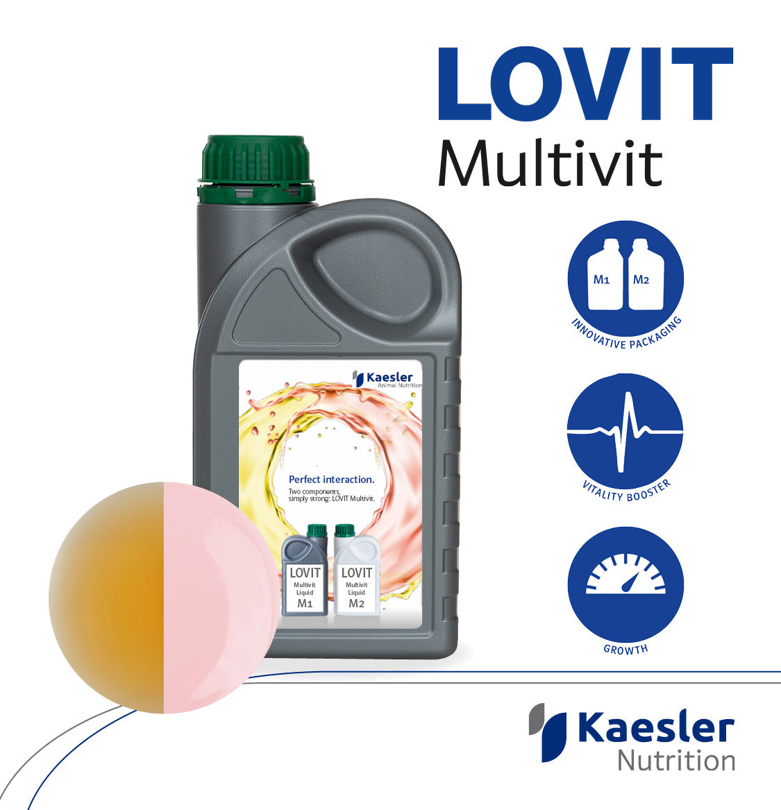 LOVIT MULTIVIT LIQUID