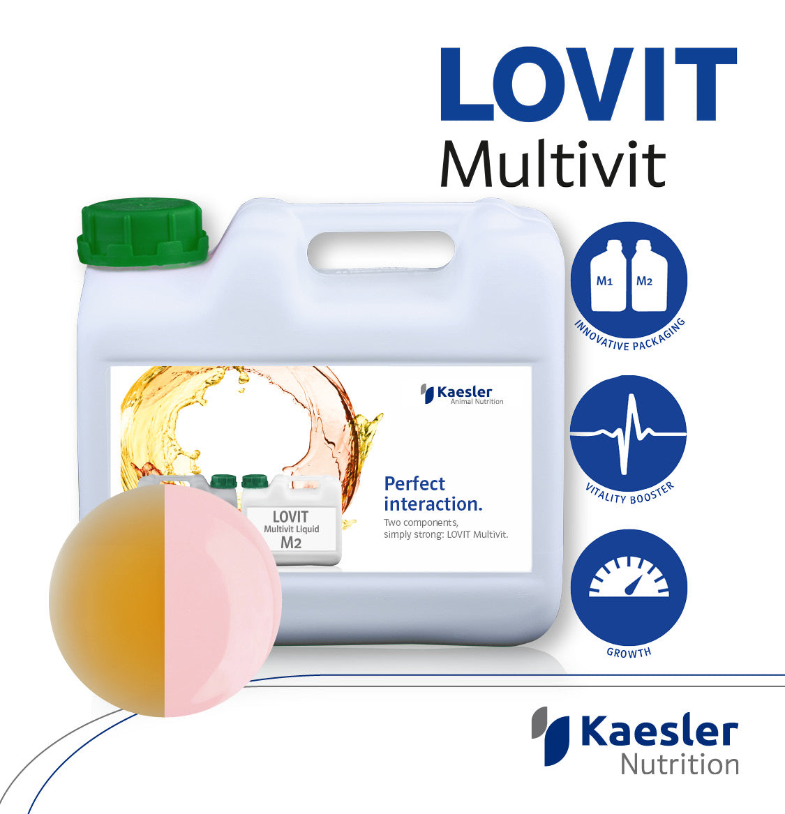 LOVIT MULTIVIT LIQUID