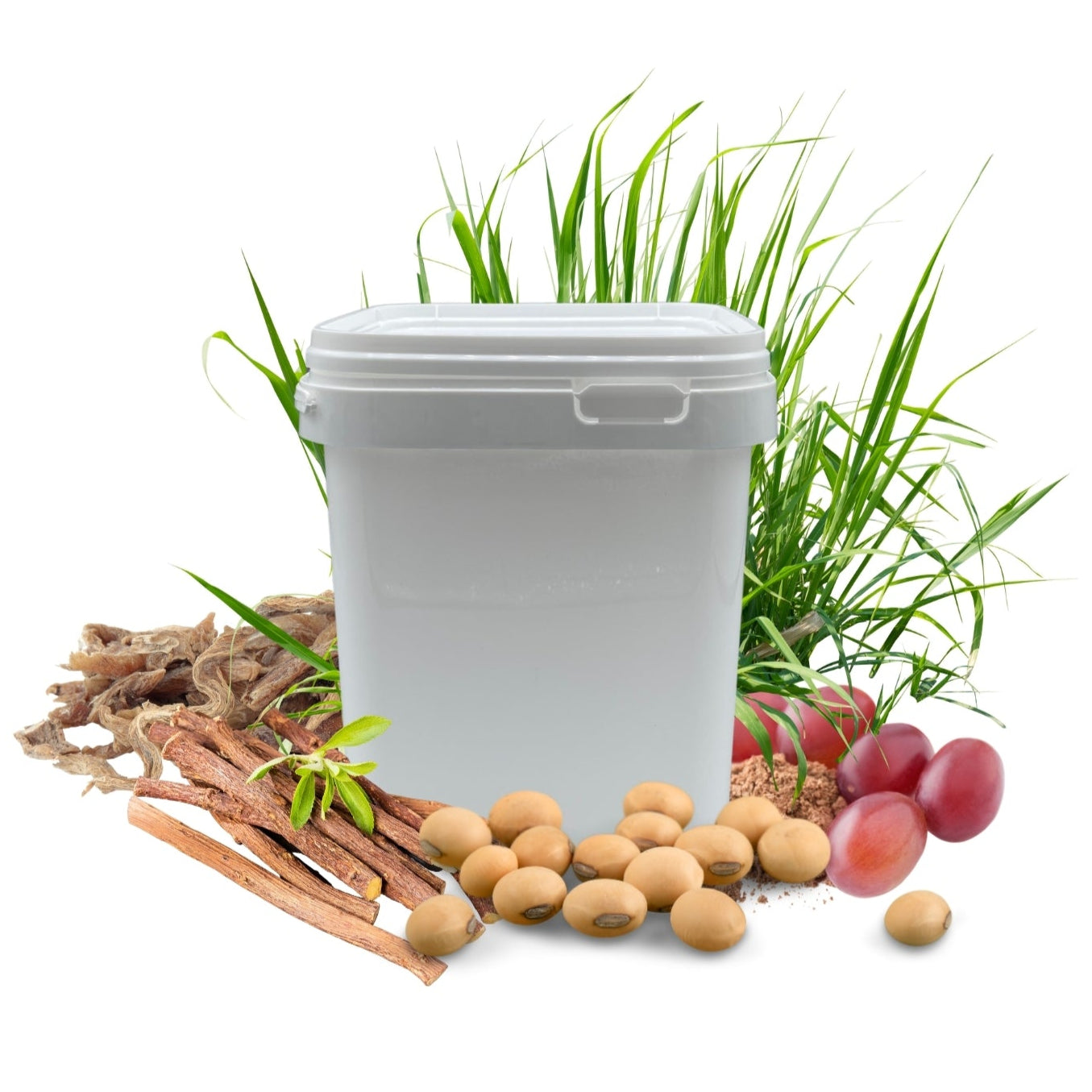 Magen PROTECT HERBAL