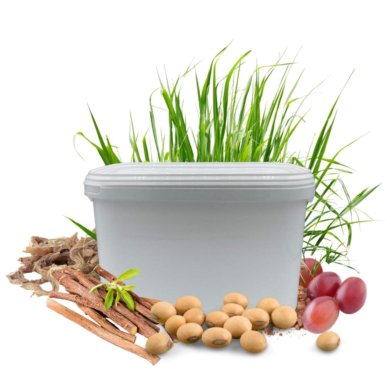 Magen PROTECT HERBAL