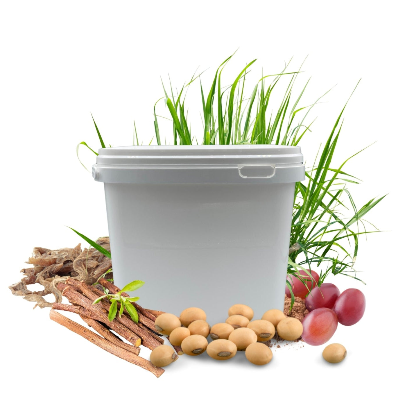 Magen PROTECT HERBAL