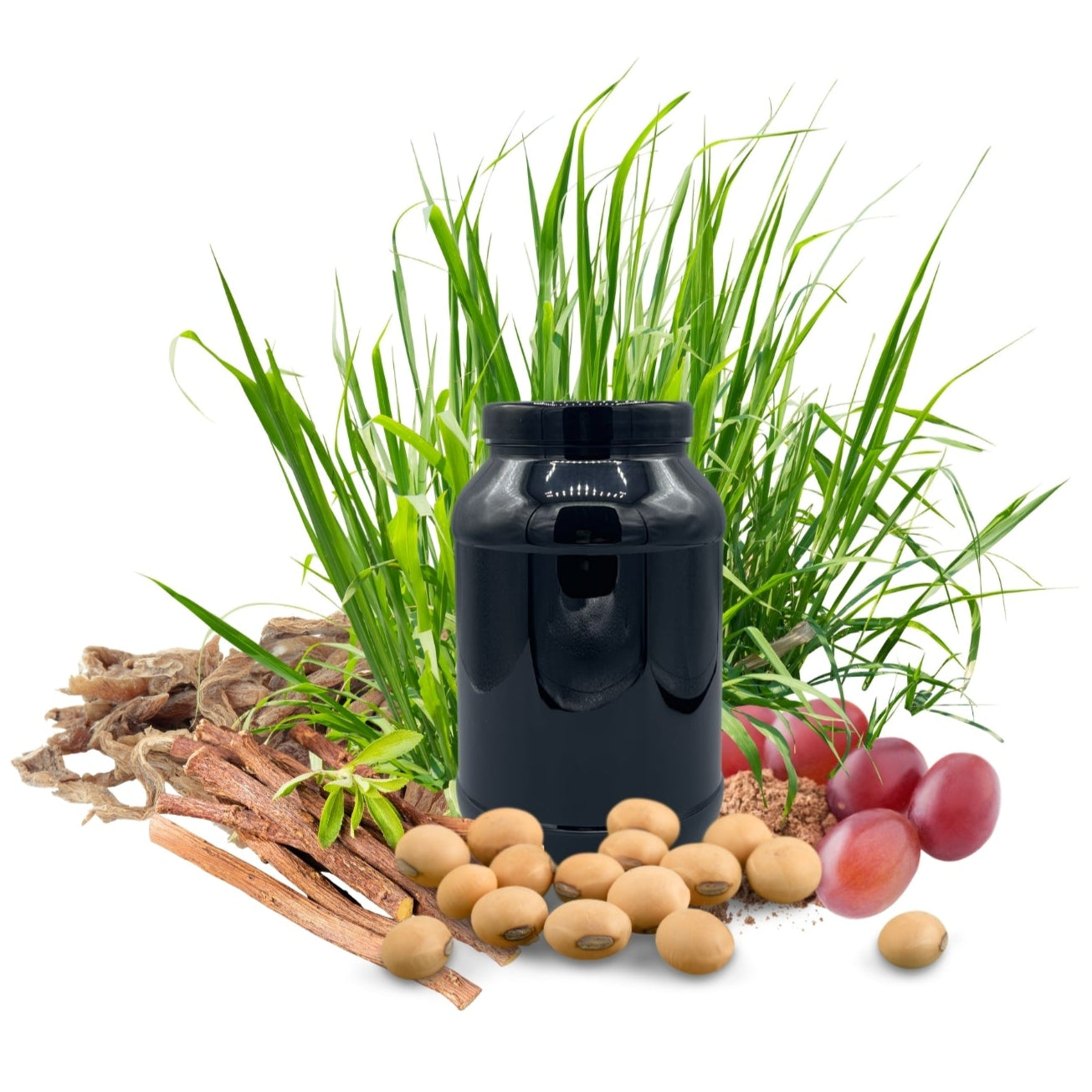 Magen PROTECT HERBAL