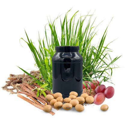 Magen PROTECT HERBAL