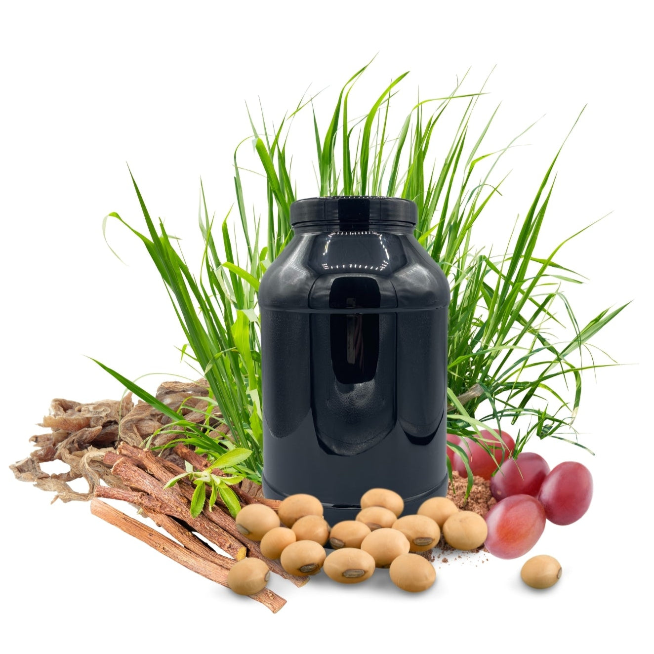 Magen PROTECT HERBAL