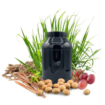 Magen PROTECT HERBAL